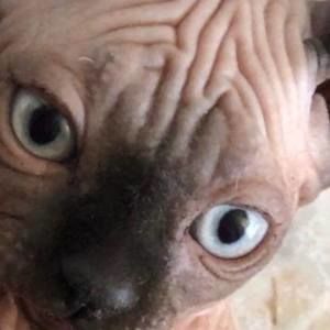 Meet your Posher, Kim